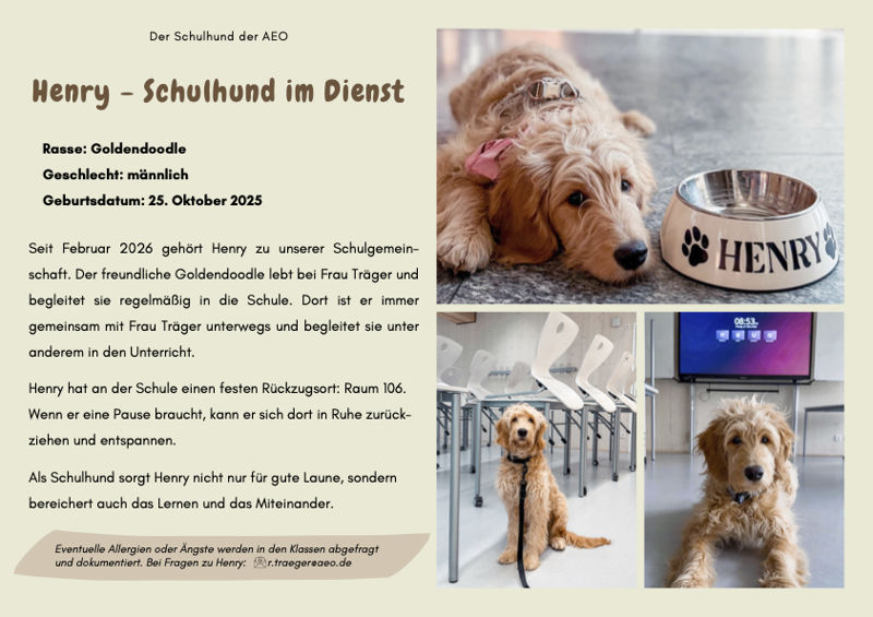 Henry - Schulhund im Dienst
